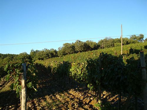Agriturismo Il Villino Fonterutoli Exteriör bild